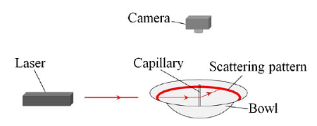 祝贺肖井华老师带领本科生在Applied Optics上发表论文